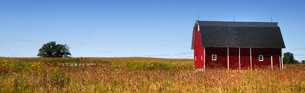 Tools-Shed-banner.jpg