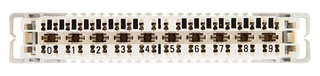 231111.jpg 231111.jpg